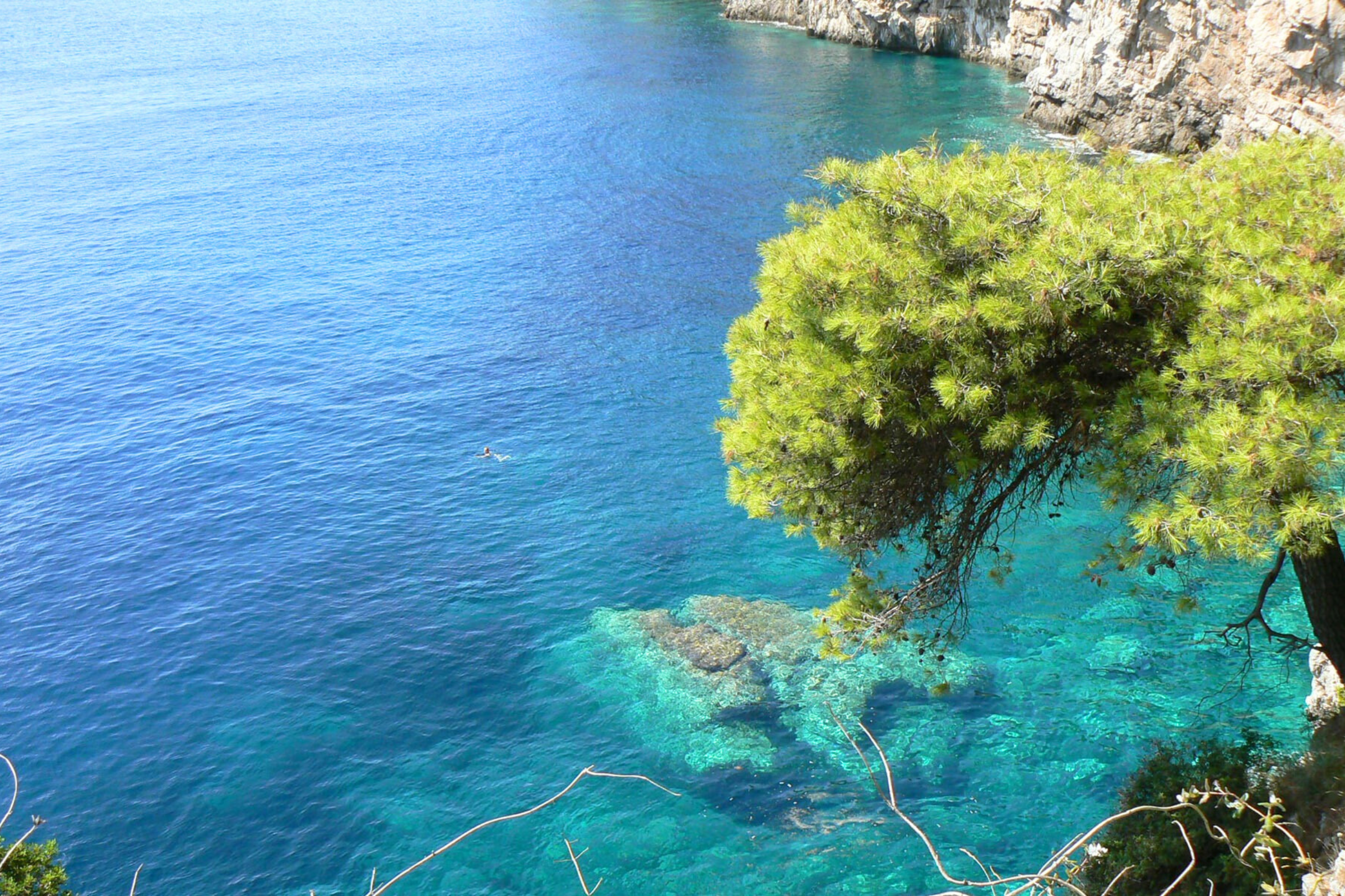 26 aljmas.webp